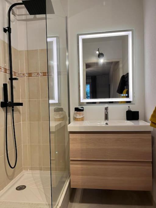 Joli Appart / Parking / Clim / Wifi Montpellier Bagian luar foto